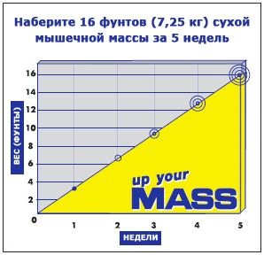 Up Your Mass - график набора массы